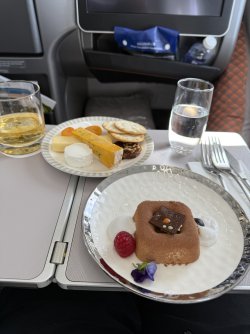 IMG_6503.jpeg IMG_6503.jpeg