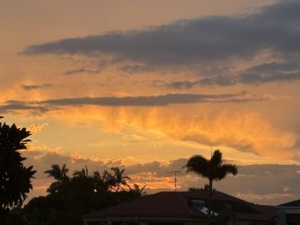 IMG_5239.jpg IMG_5239.jpg