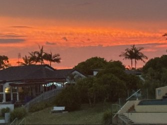 IMG_5242.jpg IMG_5242.jpg