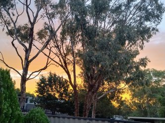 IMG_20260110_201335734_HDR_AE.jpg IMG_20260110_201335734_HDR_AE.jpg