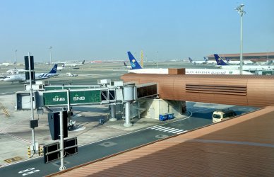 IMG_5125.jpeg IMG_5125.jpeg