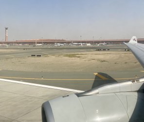 IMG_5133.jpeg IMG_5133.jpeg