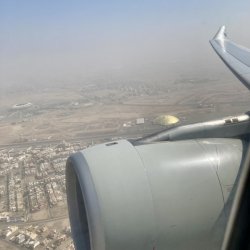 IMG_5134.jpeg IMG_5134.jpeg