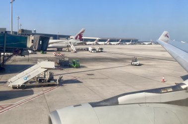 IMG_5136.jpeg IMG_5136.jpeg