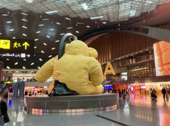 IMG_5137.jpeg IMG_5137.jpeg