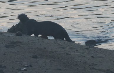 P6091386.JPG P6091386.JPG