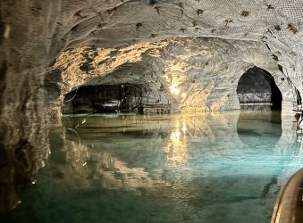 IMG_6995.jpeg IMG_6995.jpeg