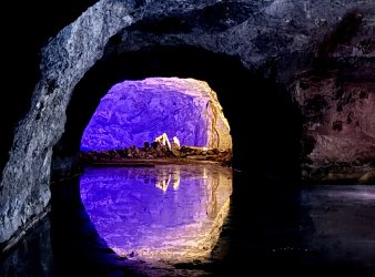 IMG_6993.jpeg IMG_6993.jpeg