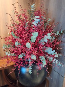 20260112_155105.jpg 20260112_155105.jpg