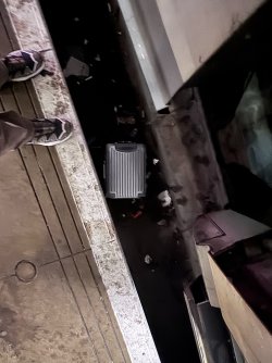 IMG_2887.jpeg IMG_2887.jpeg