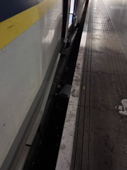 IMG_2889.jpeg IMG_2889.jpeg