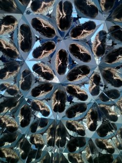 IMG_7125.jpeg IMG_7125.jpeg