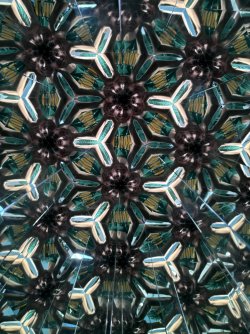 IMG_7126.jpeg IMG_7126.jpeg