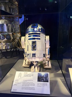 IMG_7231.jpeg IMG_7231.jpeg