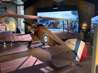 IMG_7232.jpeg IMG_7232.jpeg