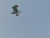 CS150815 - Broome - 002.jpg
