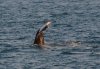 CS150816 - Talbot Bay - 003.jpg