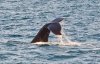 CS150816 - Talbot Bay - 007.jpg