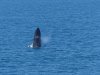 CS150816 - Talbot Bay - 008.jpg