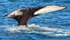 CS150816 - Talbot Bay - 011.jpg
