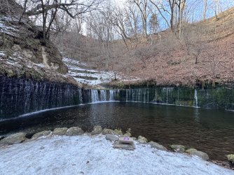 IMG_2568.jpeg IMG_2568.jpeg