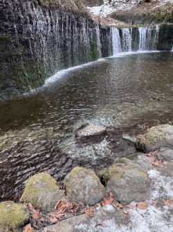 IMG_2569.jpeg IMG_2569.jpeg