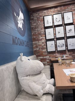 IMG_2574.jpeg IMG_2574.jpeg