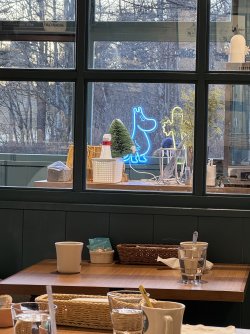 IMG_2575.jpeg IMG_2575.jpeg