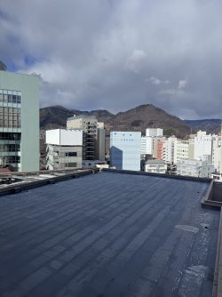 IMG_2585.jpeg IMG_2585.jpeg