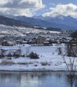 IMG_2589.jpeg IMG_2589.jpeg