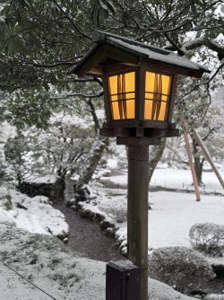 IMG_2626.jpeg IMG_2626.jpeg