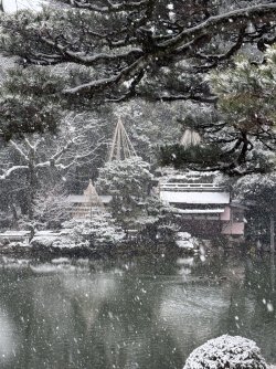 IMG_2632.jpeg IMG_2632.jpeg