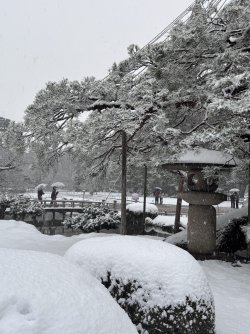 IMG_2642.jpeg IMG_2642.jpeg