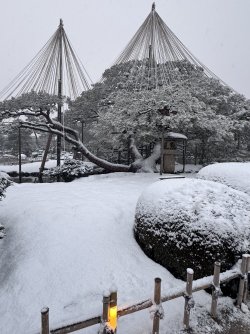 IMG_2638.jpeg IMG_2638.jpeg