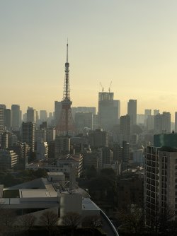 IMG_0549.jpeg IMG_0549.jpeg