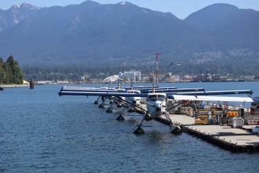 IMG_0607.jpeg IMG_0607.jpeg