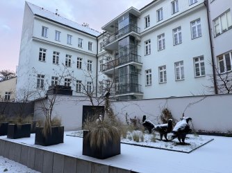 gas - 8.jpeg gas - 8.jpeg