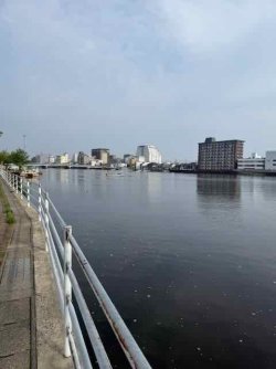 IMG_1773.jpeg IMG_1773.jpeg