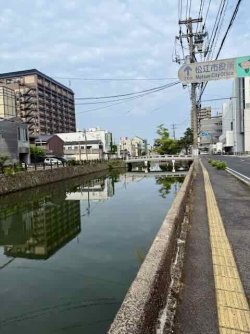 IMG_1777.jpeg IMG_1777.jpeg