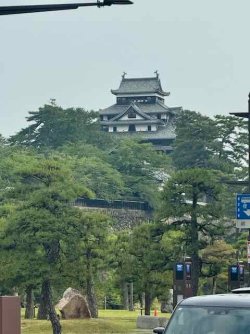 IMG_1780.jpeg IMG_1780.jpeg