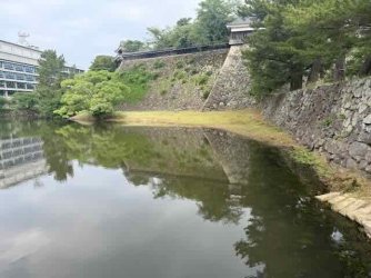 IMG_1783.jpeg IMG_1783.jpeg