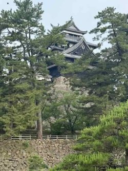 IMG_1788.jpeg IMG_1788.jpeg