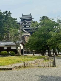 IMG_1807.jpeg IMG_1807.jpeg