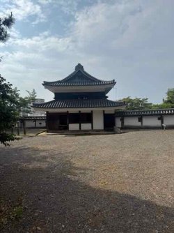 IMG_1811.jpeg IMG_1811.jpeg