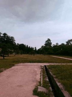 IMG_1820.jpeg IMG_1820.jpeg