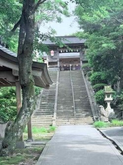 IMG_1829.jpeg IMG_1829.jpeg