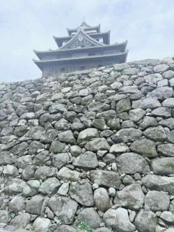 IMG_1837.jpeg IMG_1837.jpeg