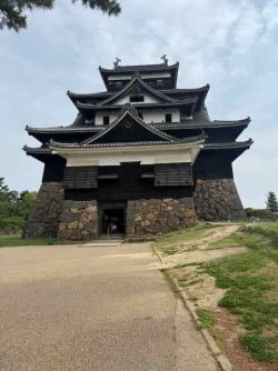 IMG_1851.jpeg IMG_1851.jpeg