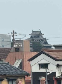 IMG_1936.jpeg IMG_1936.jpeg