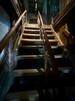 IMG_1865.jpeg IMG_1865.jpeg